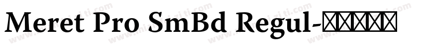 Meret Pro SmBd Regul字体转换